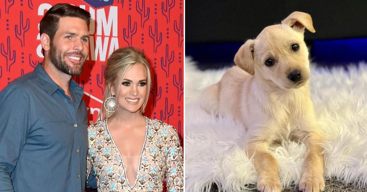 Carrie Underwood and Mike Fisher's Relationship Timeline