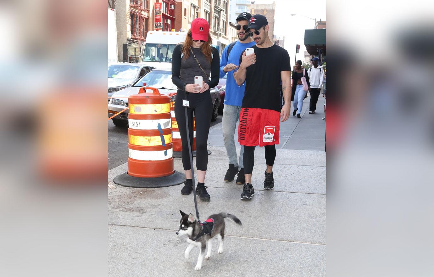 Joe Jonas Sophie Turner cute new puppy