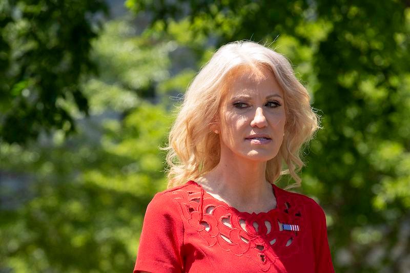 kellyanne conway donald trump running mate beat kamala harris