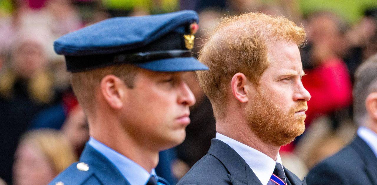 prince harry ready forgive royal family king charles prince william resisting