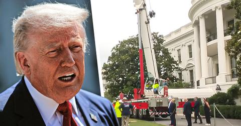 Composite photo of Donald Trump.