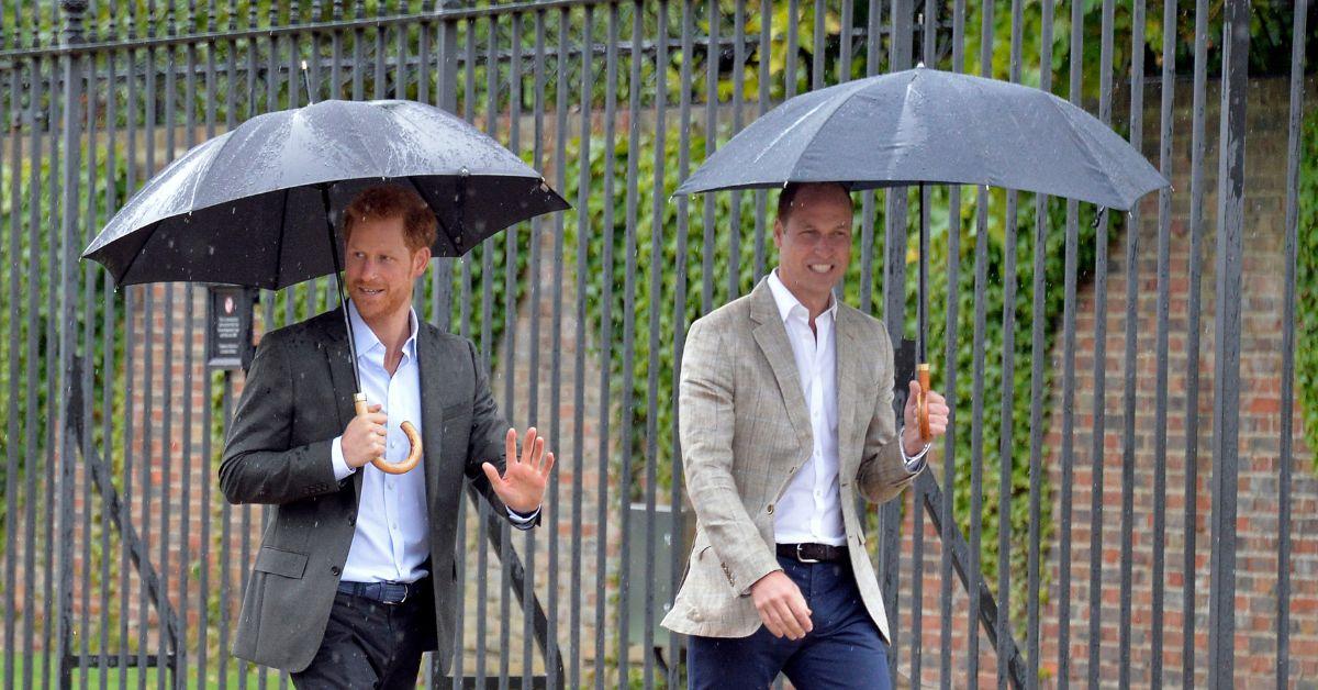 prince harry slammed erasing prince william polo documentary