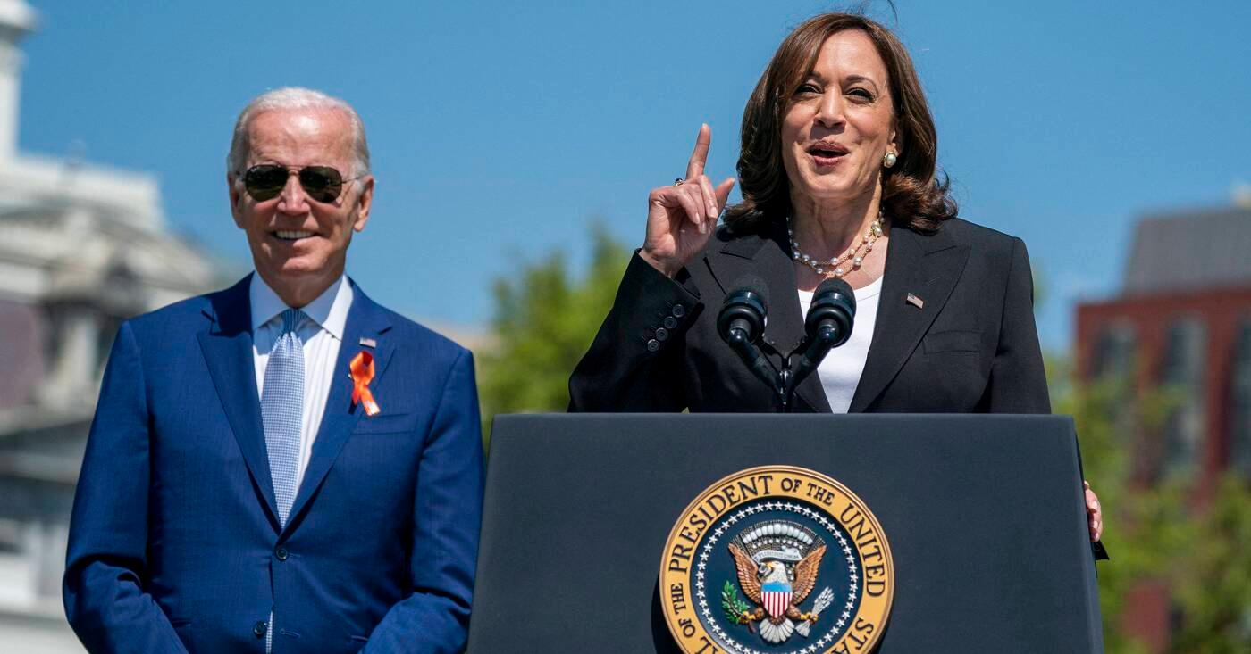 Democrats More Excited About Kamala Harris Than Joe Biden New Poll pic