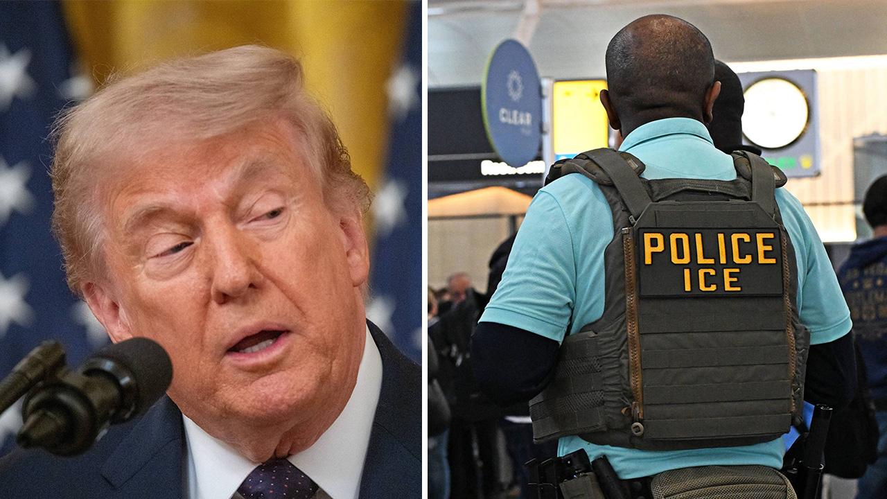 Image of Donald Trump and an ICE agent.