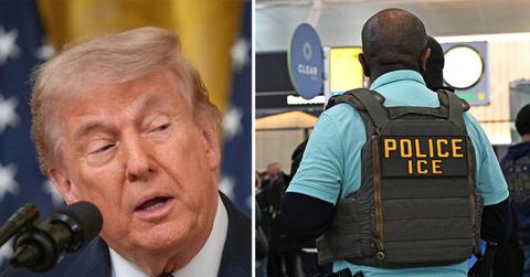Image of Donald Trump and an ICE agent.