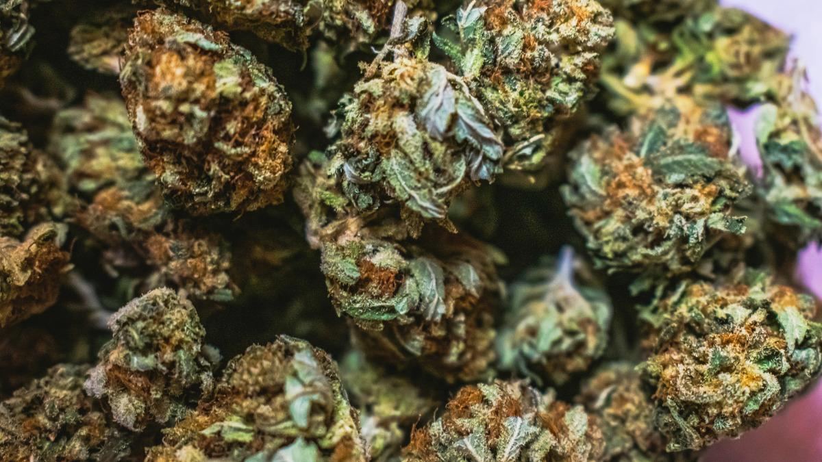 fresh bros ranked  overall thca flower brand online in  by mydecine