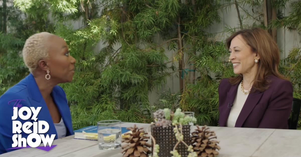 Image of Joy Reid said Kamala Harris appeared 'alarmed' for the country.