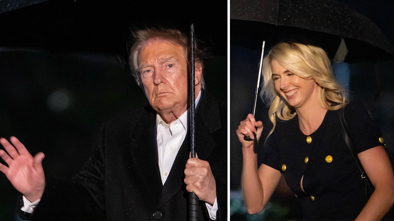 Donald Trump,Natalie Harp