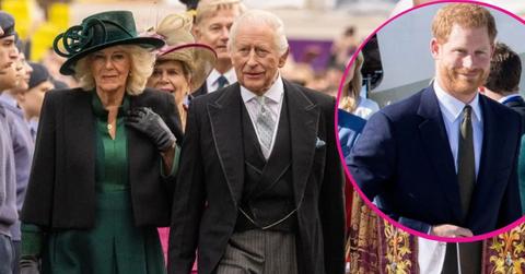 image of King Charles and queen camilla and harry