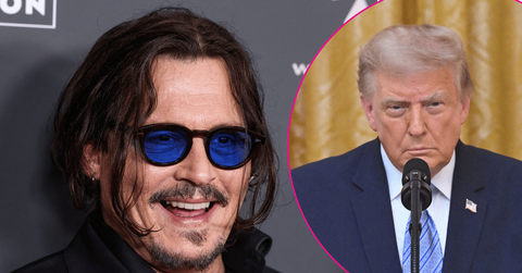 johnny depp, donald trump
