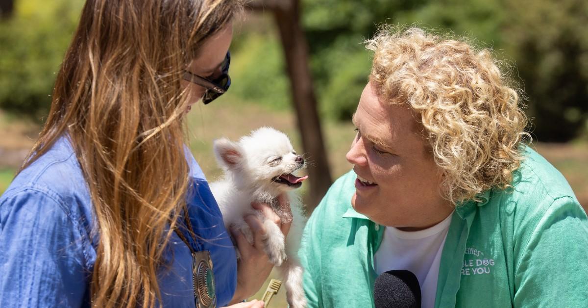 fortune feimster