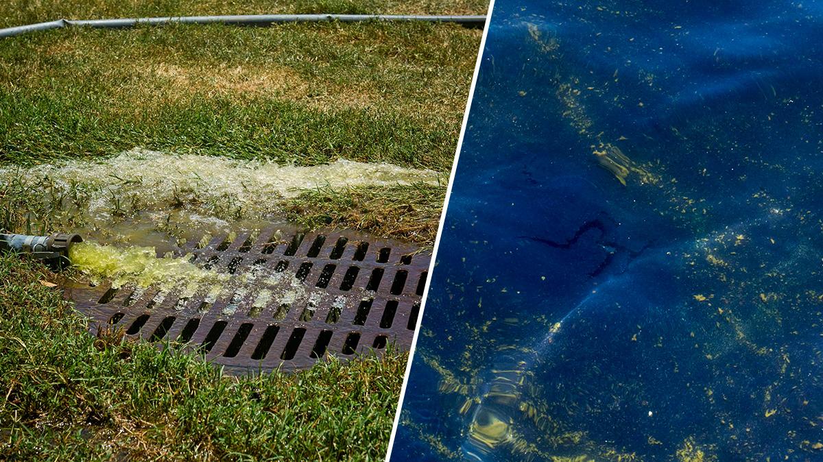 Photo of The chemicals that kill algae could have caused the paint to peel and flake off.