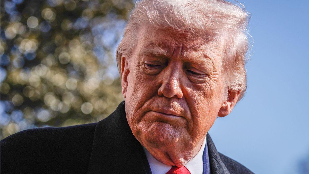 image of Donald Trump's music festival has descended into chaos. 
