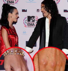 2010__11__Picture 12 239×300.png