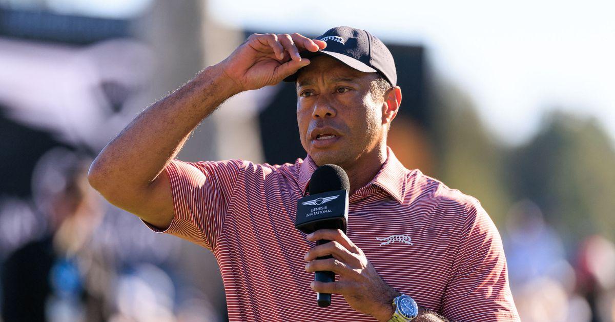 image of Tiger Woods is committed to recovery and has stepped away to focus on his health and well-being.