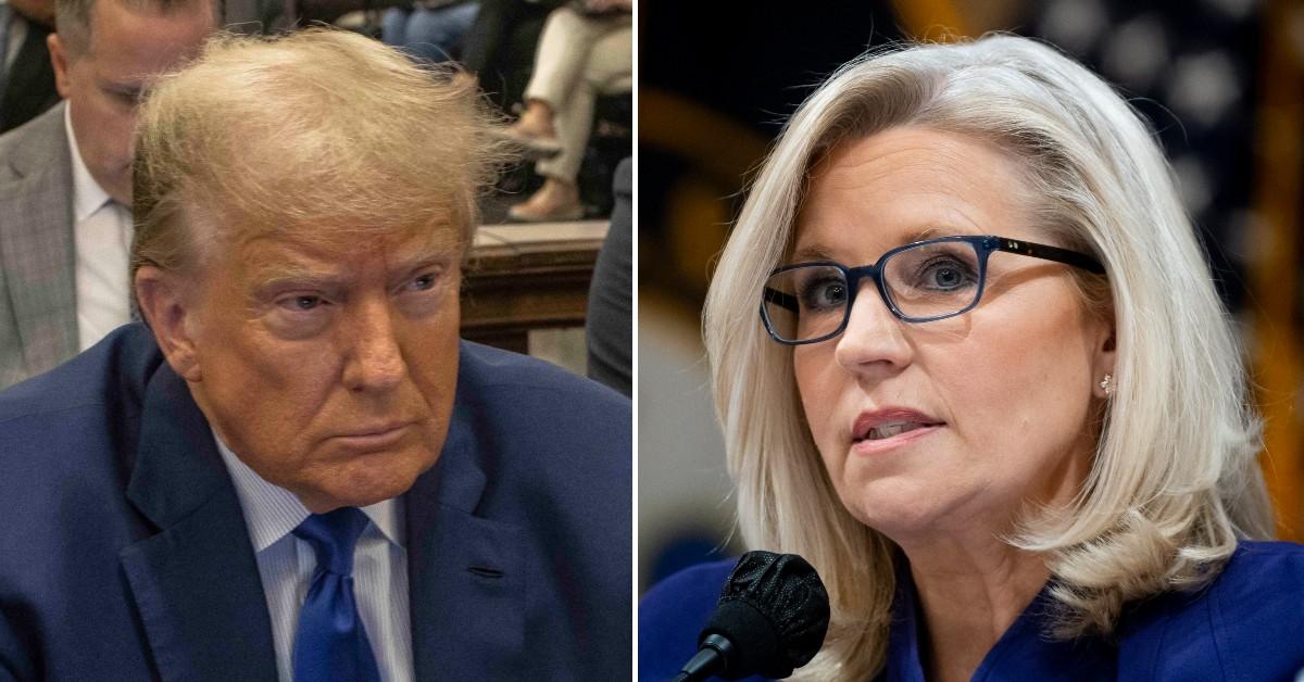 Donald Trump Will Try To Stay In Power Forever, Liz Cheney Claims