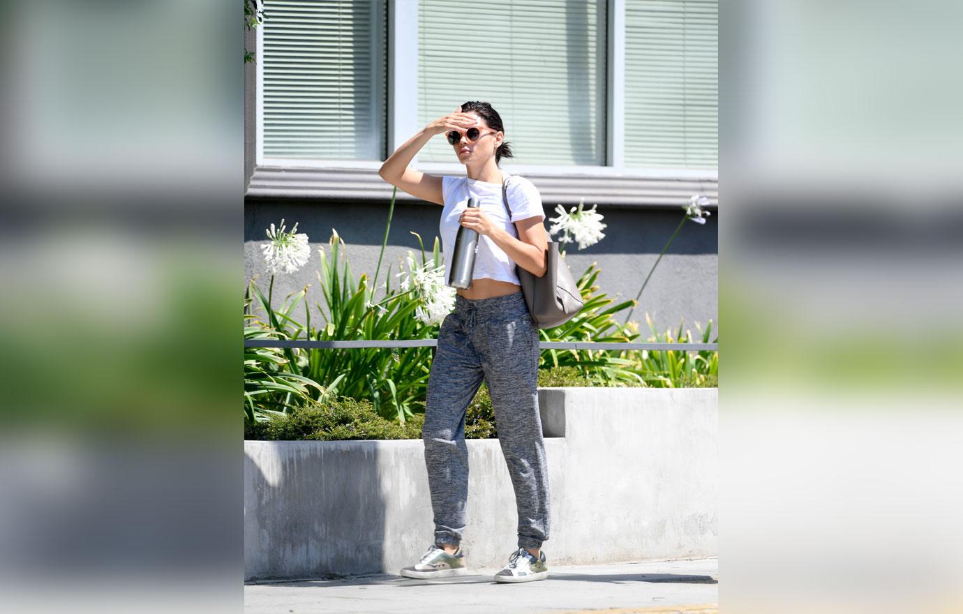 jenna dewan abs