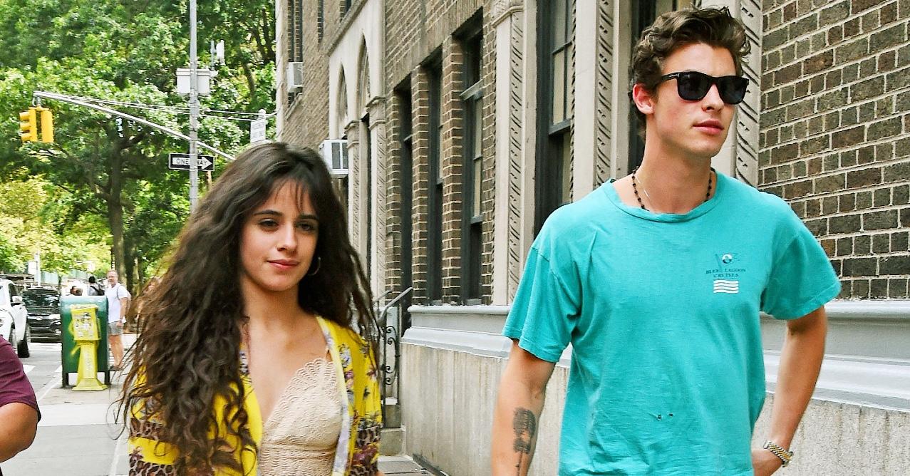 Camila Cabello Wears a Chic Lace-Up Top as Shawn Mendes Reunion