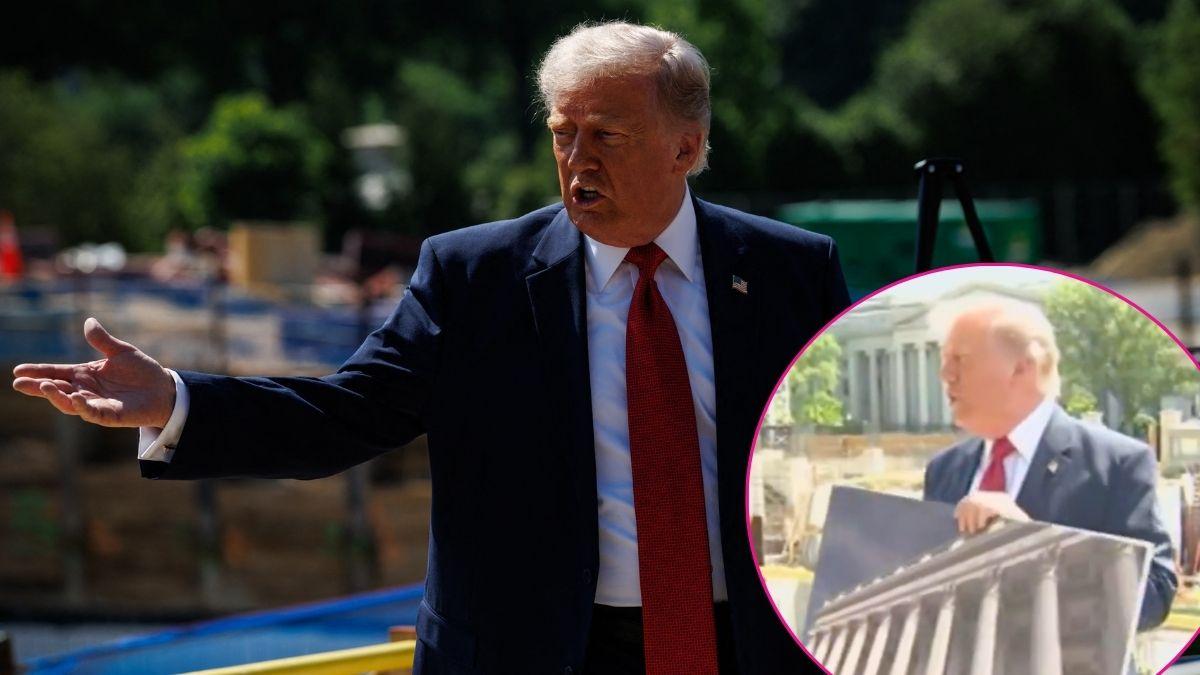 Composite photo of Donald Trump