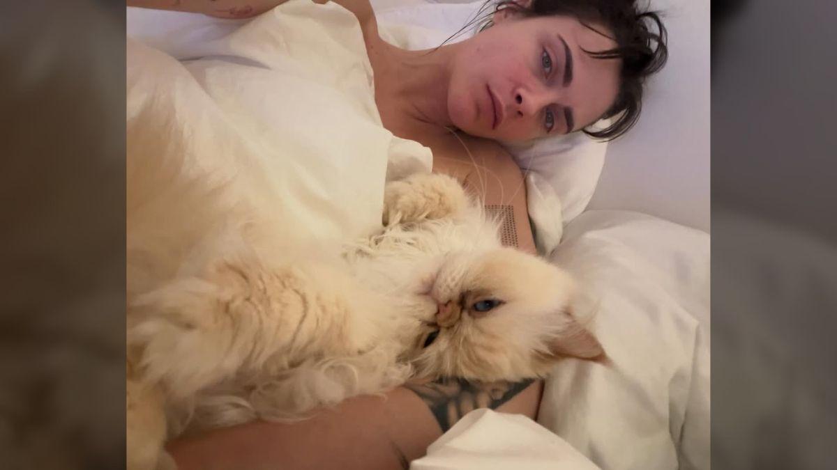 Photo of Cara Delevingne posed fresh-faced with her cat in new photos.