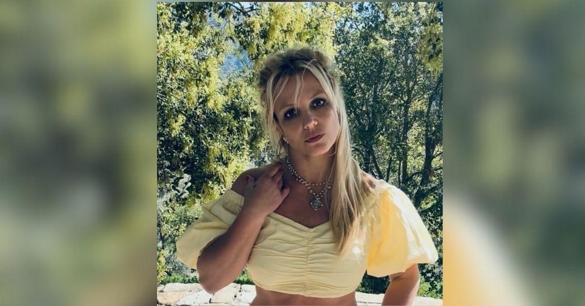 britney spears attention posts