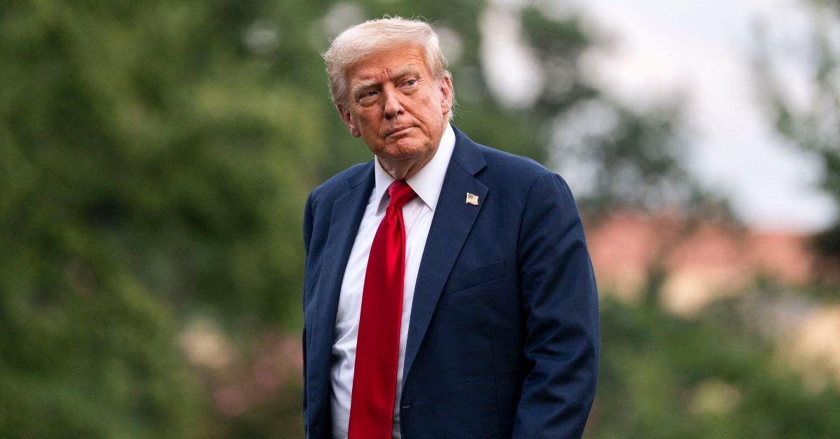image of Jim Acosta thinks Donald Trump is 'freaking out' over the Epstein files backlash.