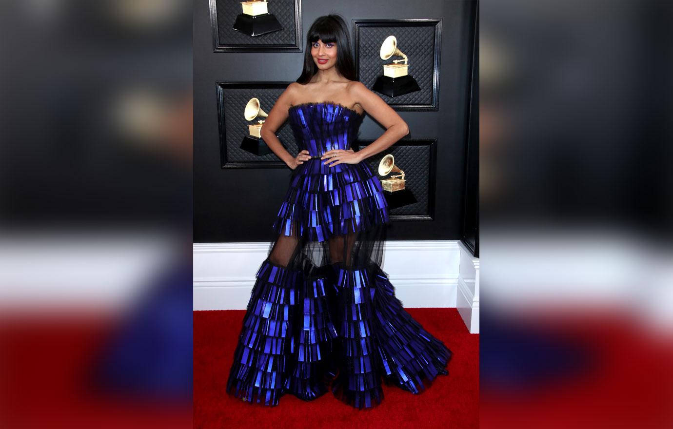 Grammy Awards 2020 Celebrity Red Carpet Arrival Photos Looks