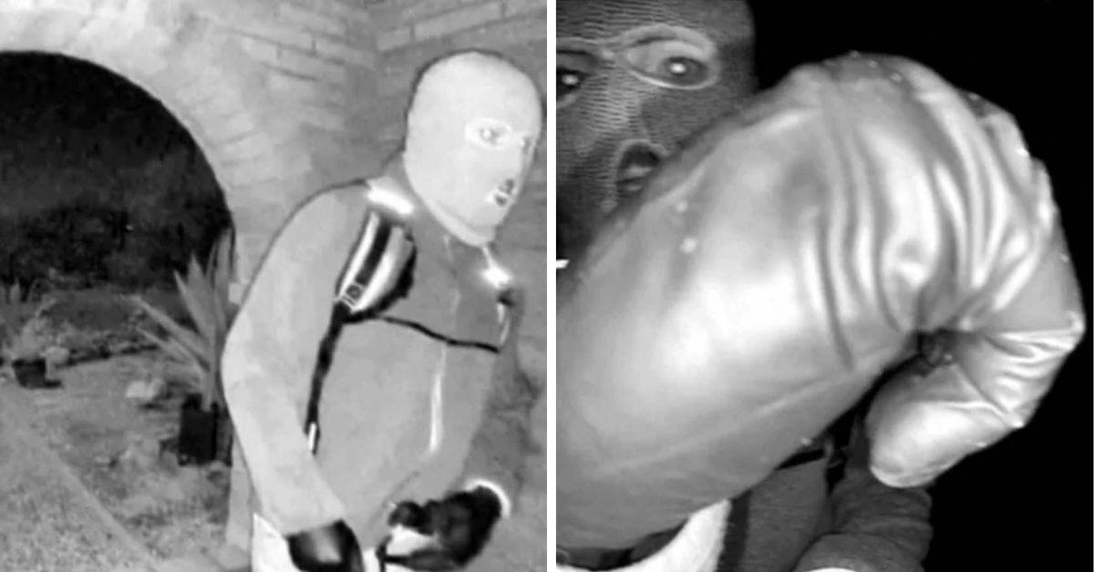 image of Reports claimed Savannah Guthrie hired a private team of investigators to help continue the search.
