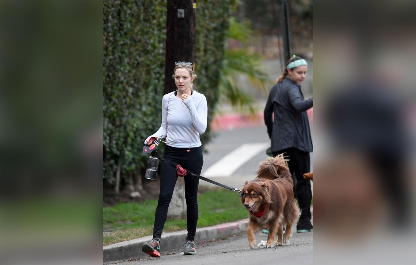 Amanda seyfried dog hike 1