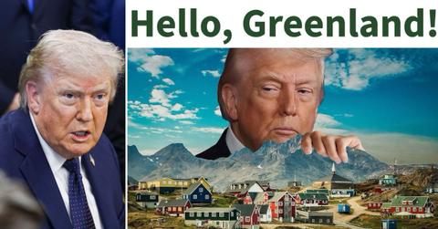 Photo of Donald Trump.