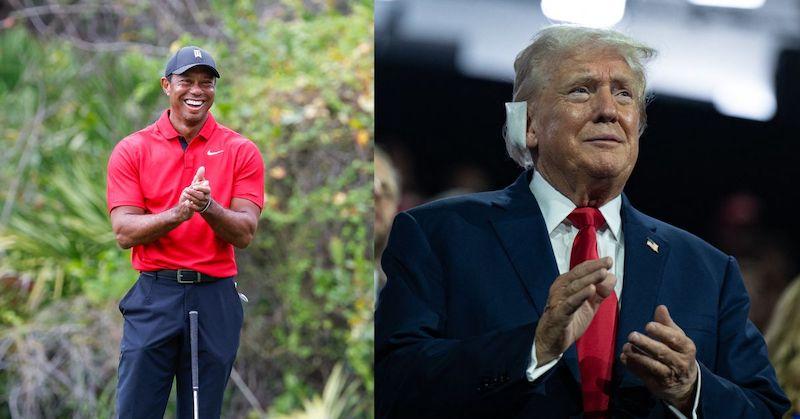 tiger woods couldnt sleep donald trump assassination attempt