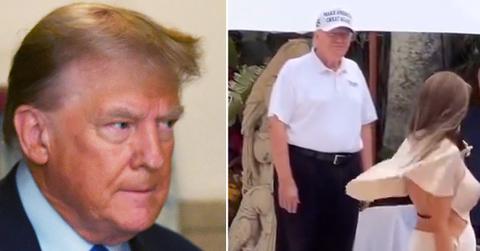 donald trump oogles woman pp