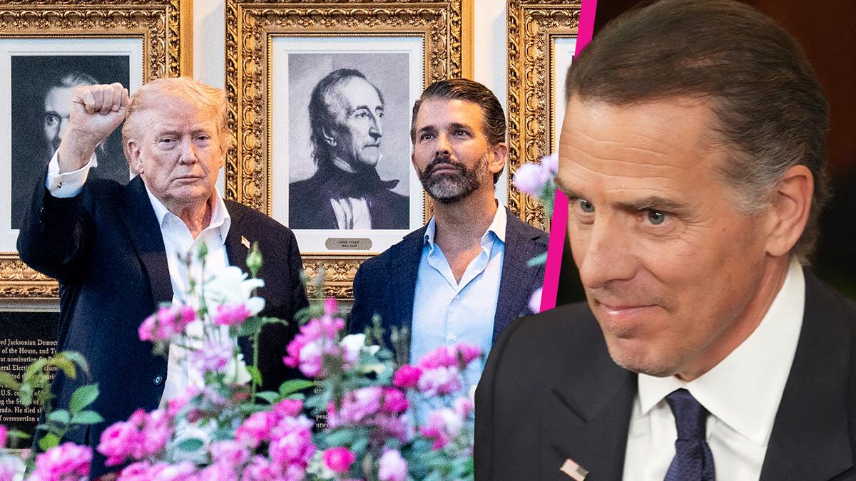 Composite photo of Donald Trump, Donald Trump Jr. and Hunter Biden.