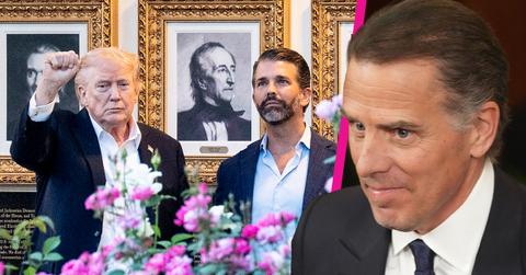 Composite photo of Donald Trump, Donald Trump Jr. and Hunter Biden.