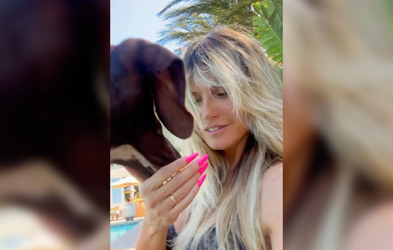 heidi klum  shows off bikini body during pool day pups photos