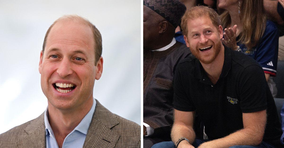 'Lost Opportunities': Prince William and Prince Harry Being Torn Apart by Petty Feud