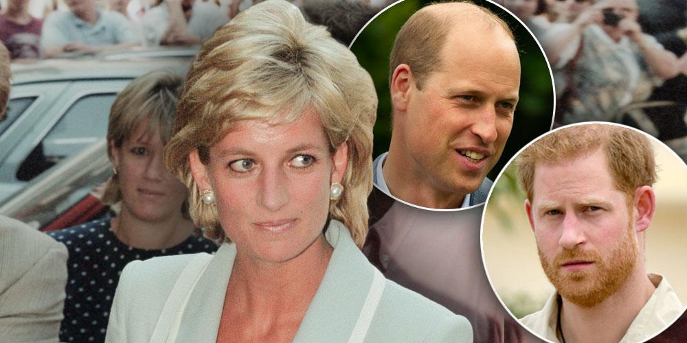 Prince William Cut Prince Harry Out Of New Princess Diana Investigation