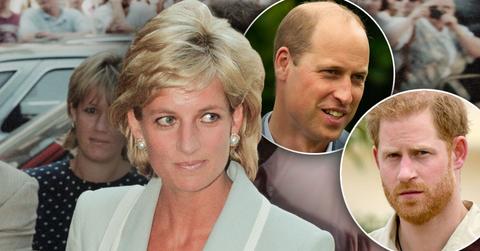 Prince William Cut Prince Harry Out Of New Princess Diana Investigation