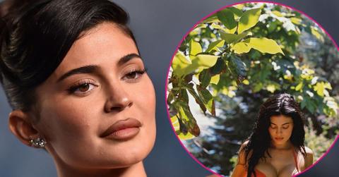 kylie jenner bikini campaign