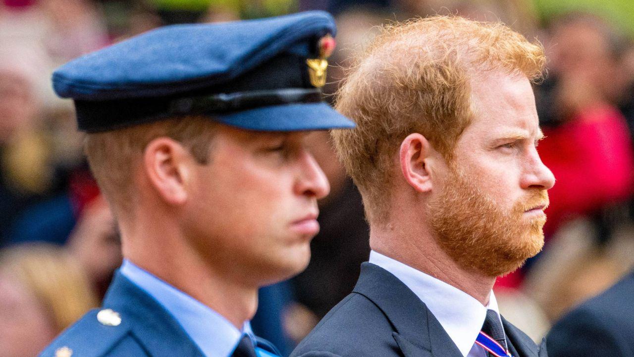 image of harry and William