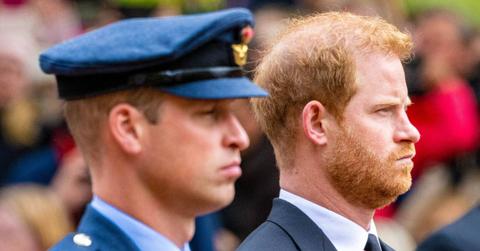 image of harry and William