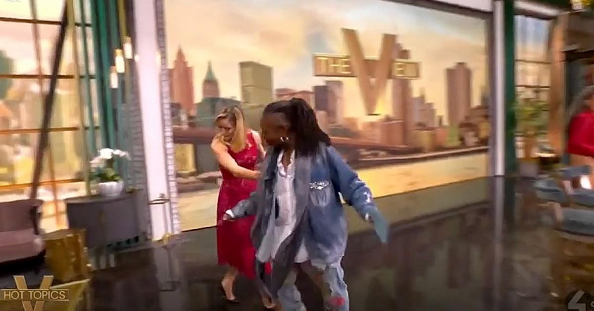 whoopi goldberg takes tumble the view