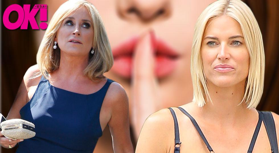 OK! Exclusive Sonja Dishes On Ashley Madison Scandal Involving(02)
