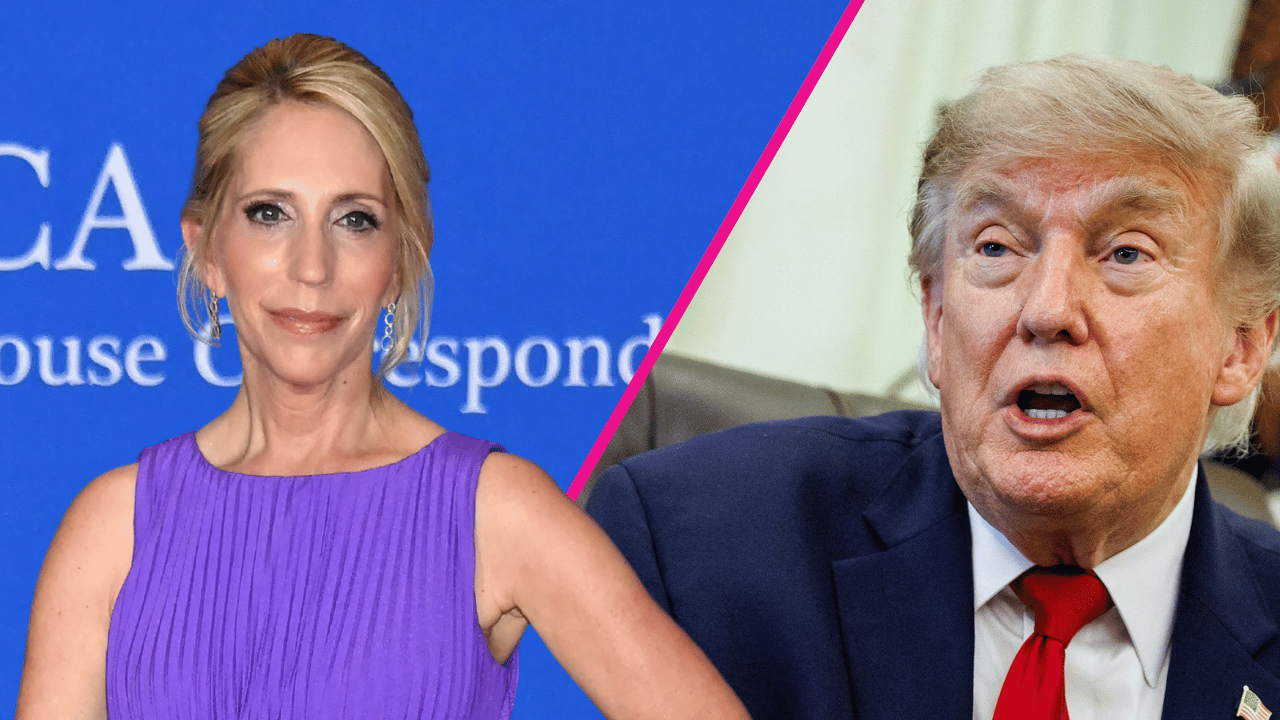dana bash, donald trump