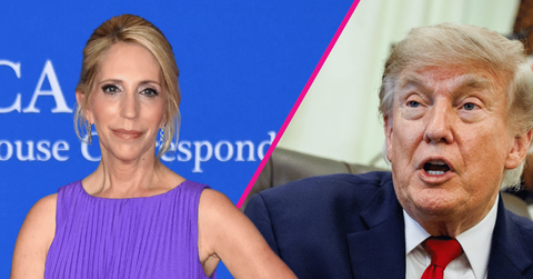 dana bash, donald trump