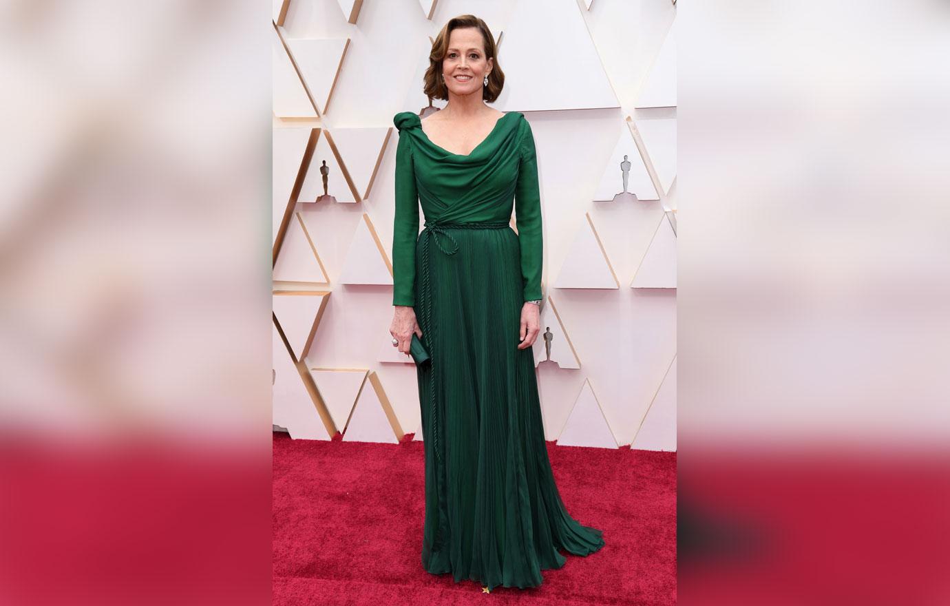 Oscars 2020 Academy Awards Red Carpet Arrivals Photos Looks