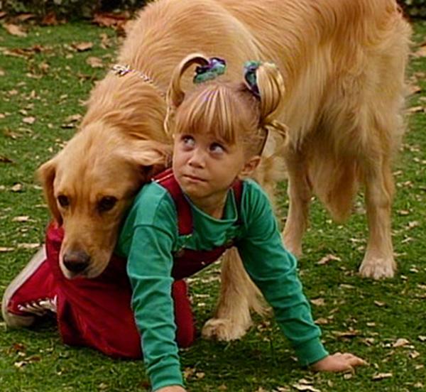 Comet full house best tv pets