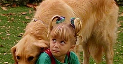 Comet full house best tv pets
