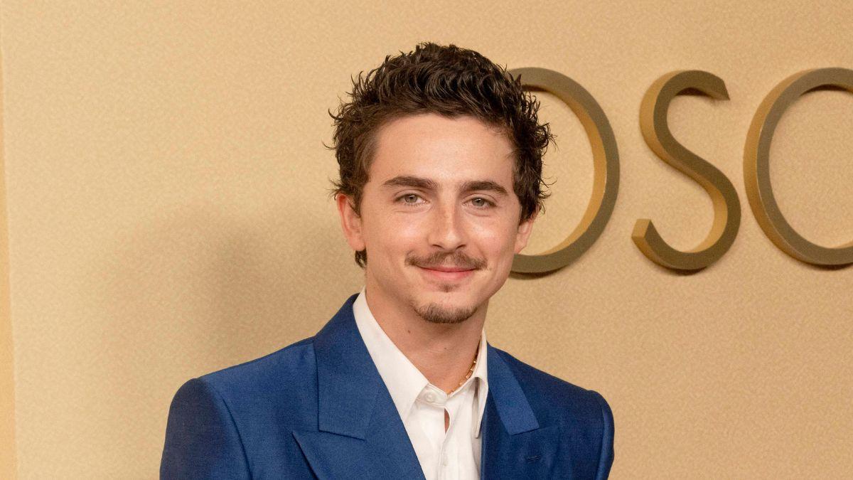 image of Timothée Chalamet's Instagram clip drew confusion online.
