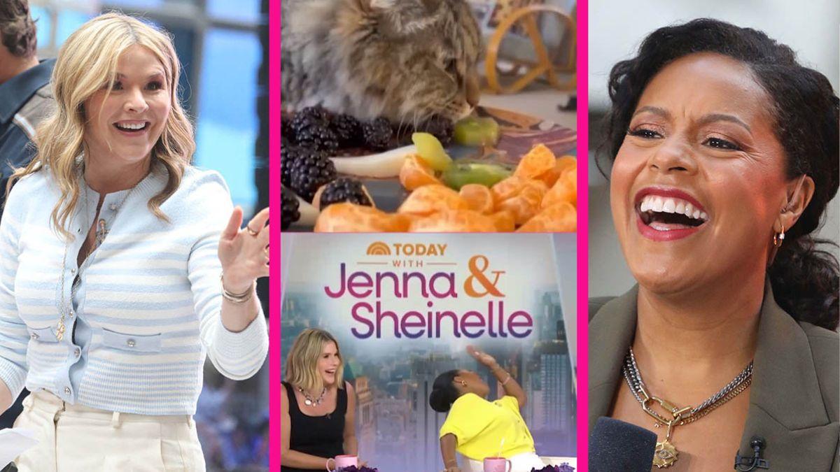 Jenna Bush Hager,Sheinelle Jones